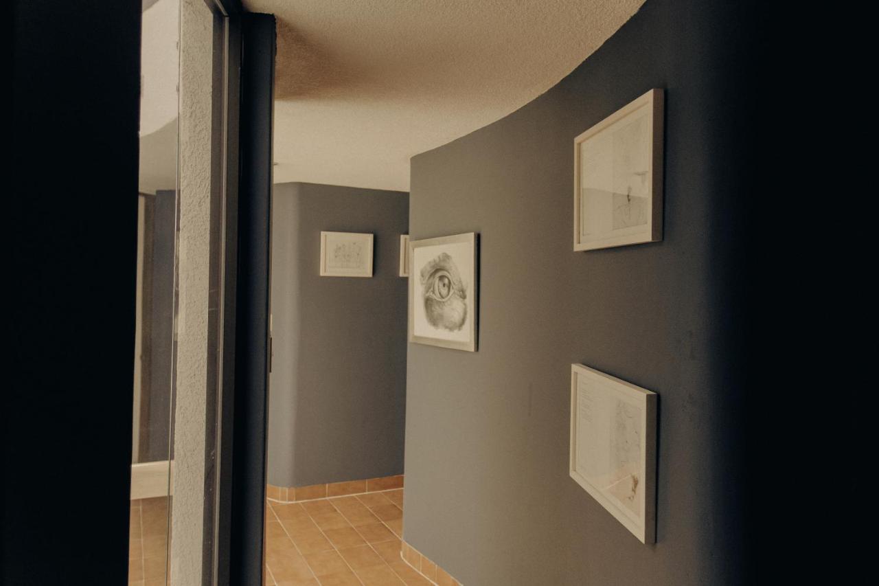 Casa Lulu Coyoacan Alvaro Obregon Exteriör bild