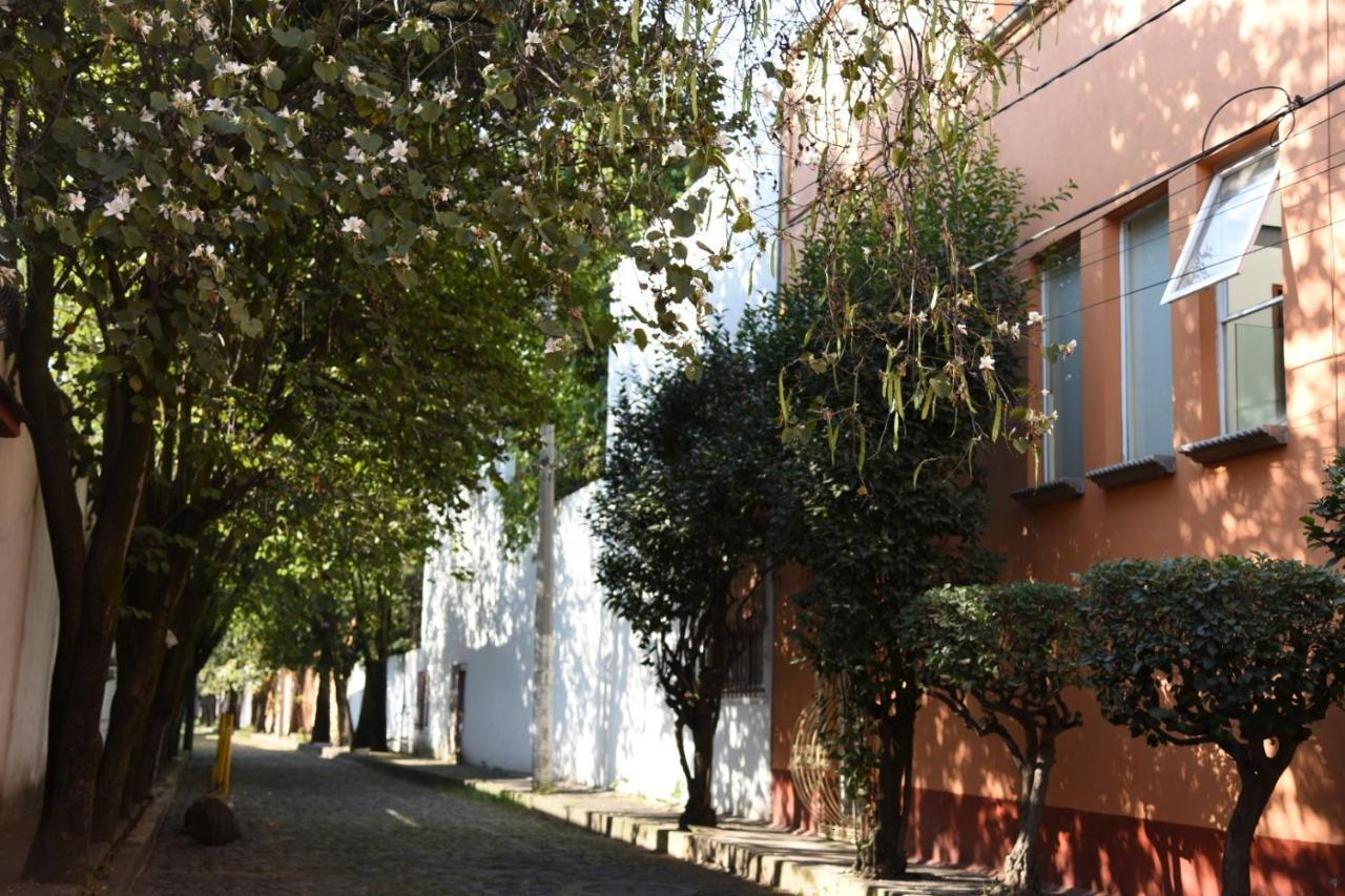 Casa Lulu Coyoacan Alvaro Obregon Exteriör bild