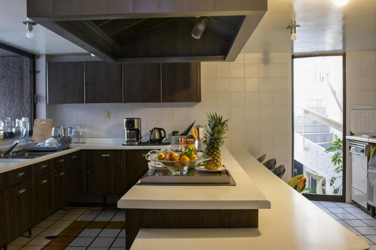 Casa Lulu Coyoacan Alvaro Obregon Exteriör bild