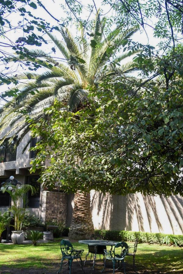 Casa Lulu Coyoacan Alvaro Obregon Exteriör bild
